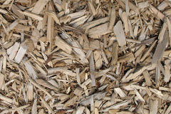 biomass boilers Rostrevor